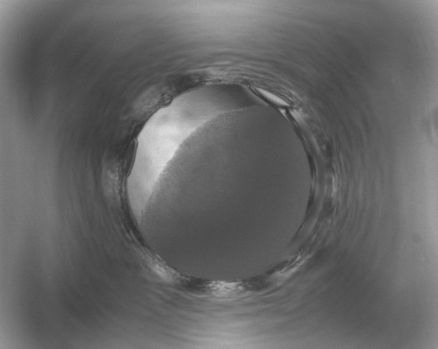 X0000054350333200508190135.png