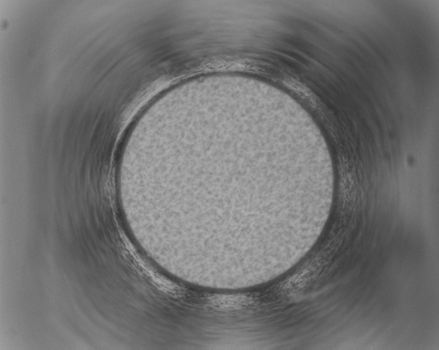 X0000054580894200508300058.png
