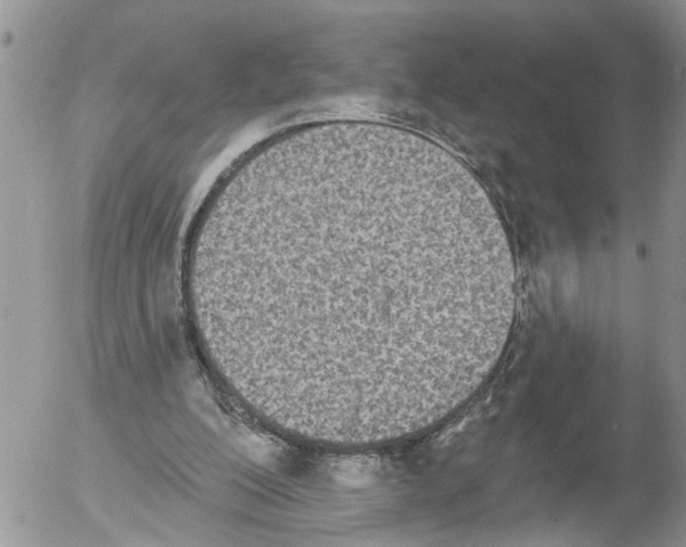 X0000054580200200508300109.png