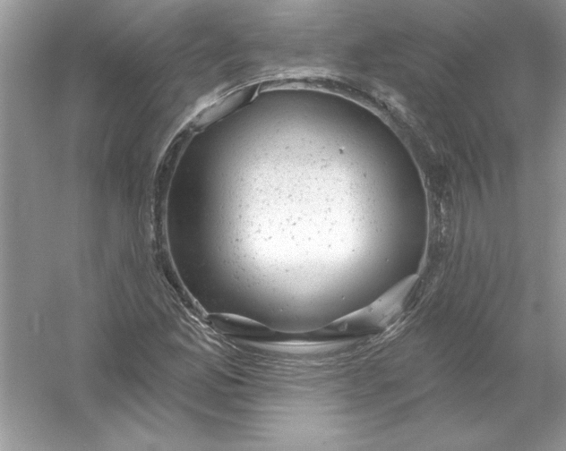 X0000054301165200508042302.png