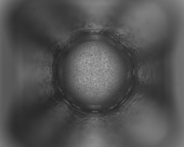X0000048531204200503171502.png