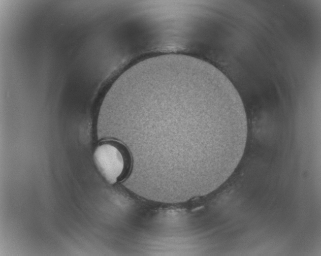 X0000053460304200508112204.png