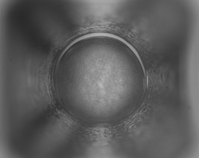 X0000052020339200507181632.png