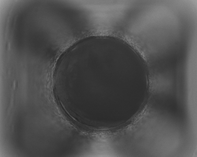 X0000047470721200503091558.png