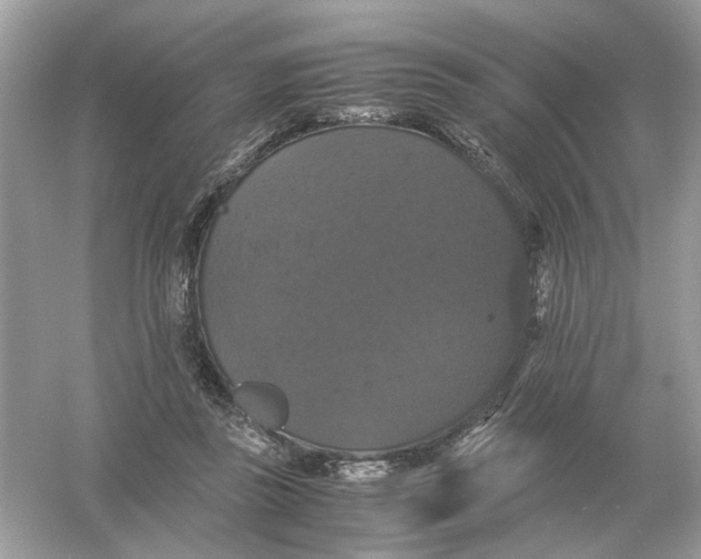 X0000054350355200508190134.png