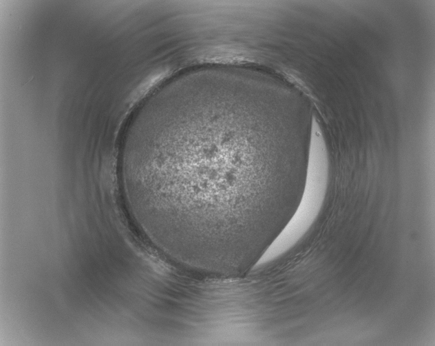 X0000054300679200508042311.png