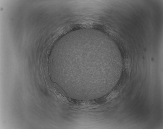 X0000054171057200508101754.png