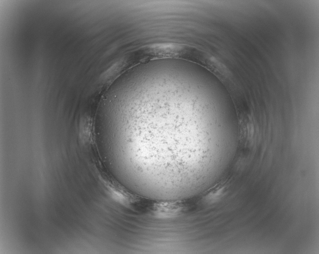 X0000054300141200508042320.png