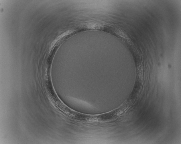 X0000054170587200508101802.png