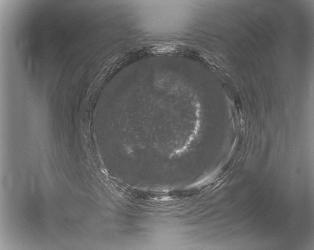 X0000055061441200508161633.png
