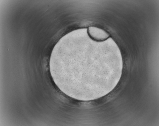 X0000053460273200508112205.png