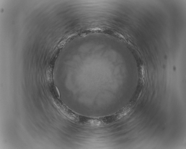 X0000054170272200508101807.png