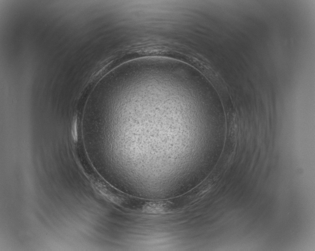 X0000055210076200508301333.png