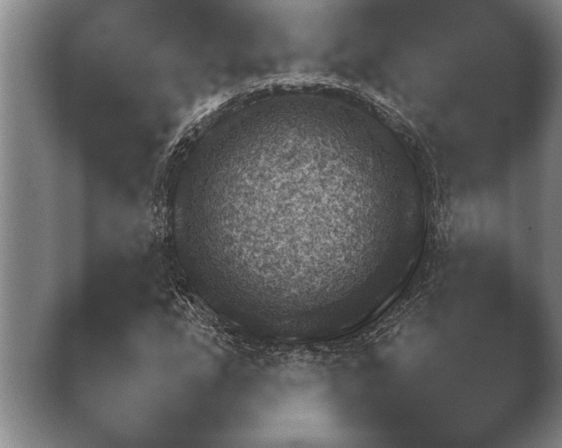 X0000038921207200409290956.png