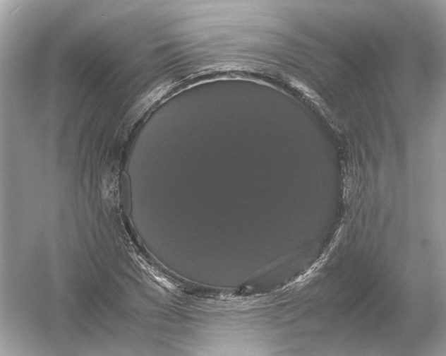 X0000054350977200508190124.png