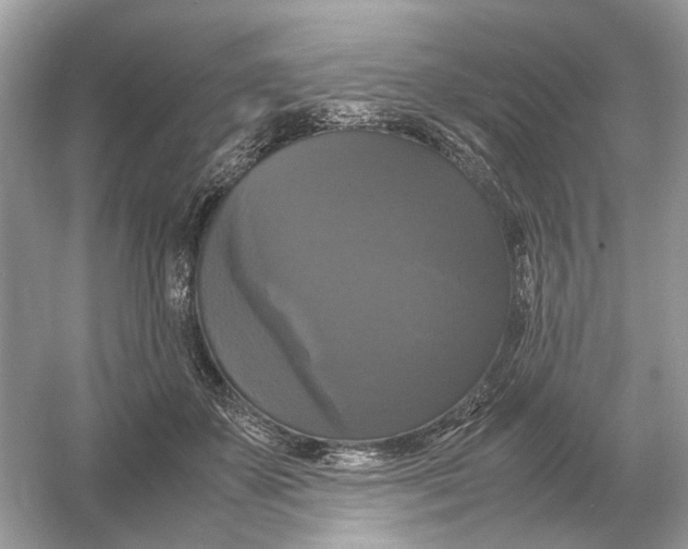 X0000054350507200508190132.png