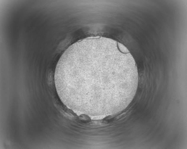 X0000054270623200508261917.png