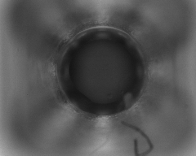 X0000054730172200508171901.png