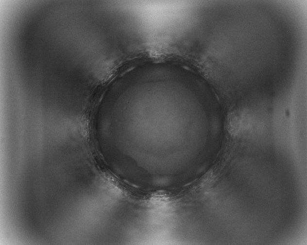 X0000043500471200412201811.png