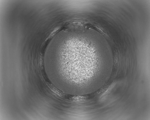 X0000054300367200508042316.png