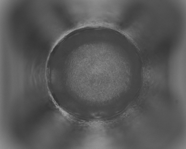 X0000051111046200507141751.png