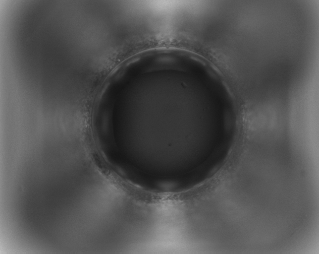 X0000054730593200508171854.png