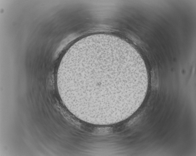 X0000054581453200508300048.png