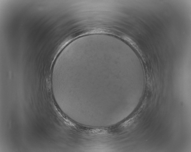 X0000054351097200508190122.png