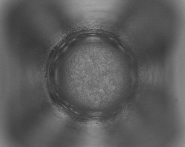X0000052280398200507132034.png