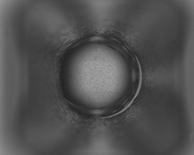 X0000040041105200410070838.png