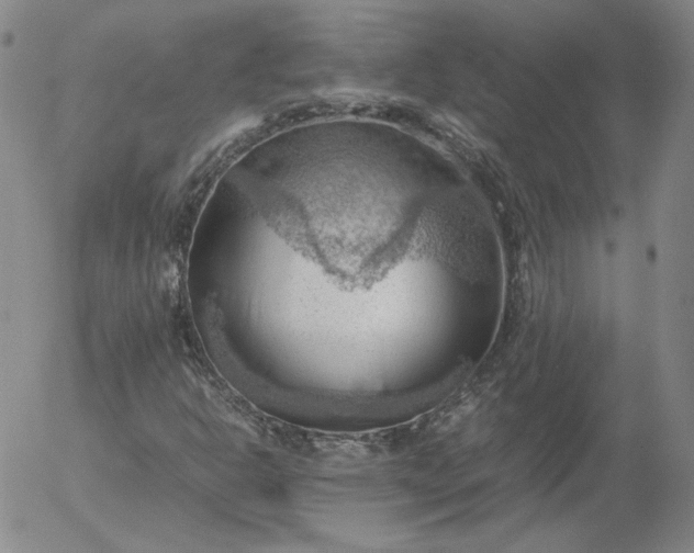 X0000054651302200508091631.png