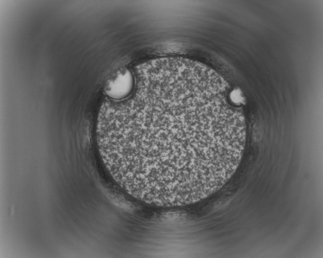 X0000053460546200508112200.png