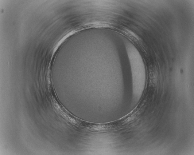 X0000054171182200508101752.png