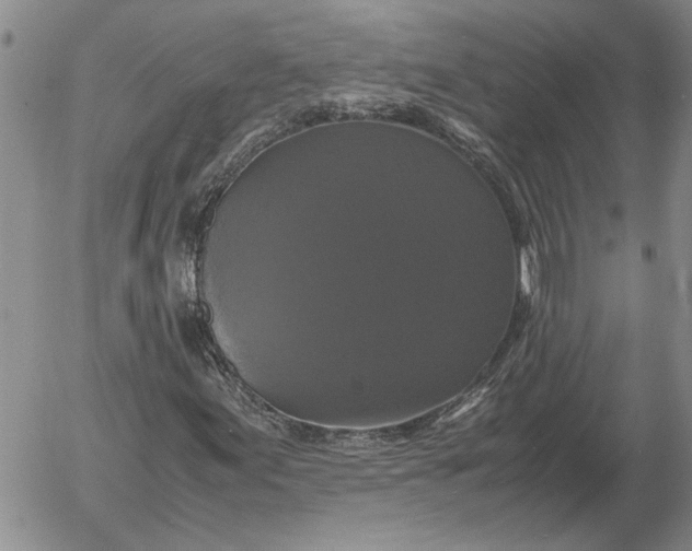 X0000054171155200508101752.png