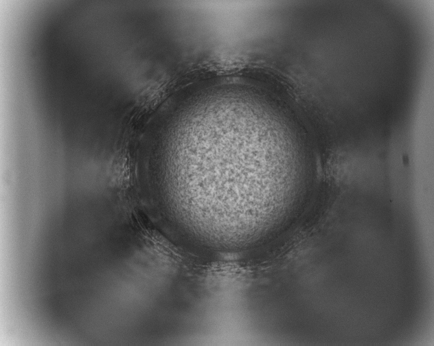 X0000042170866200411151547.png