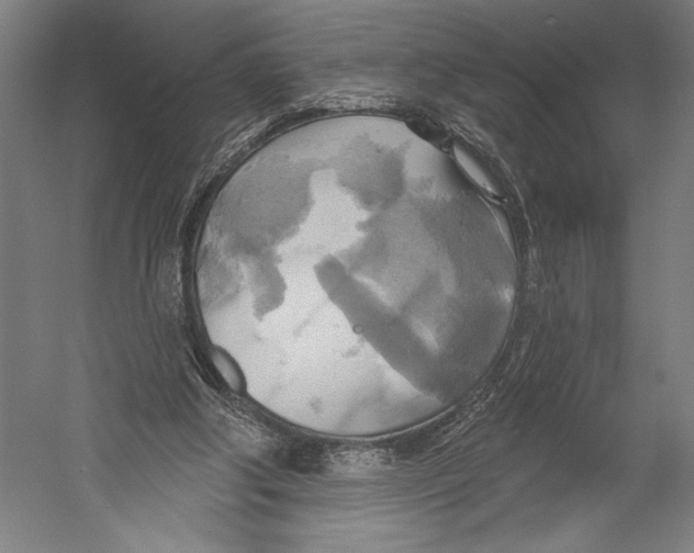 X0000055250202200509071624.png