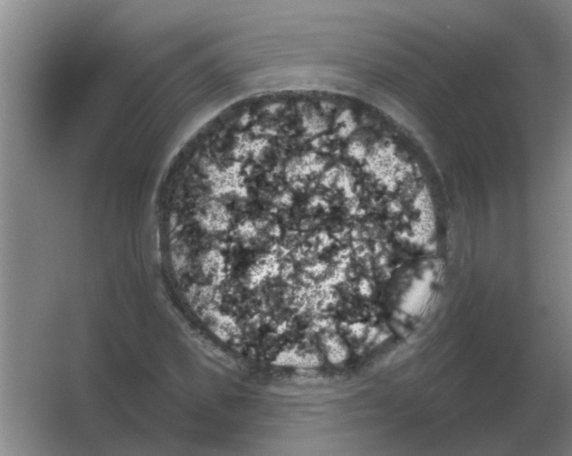 X0000053460925200508112153.png