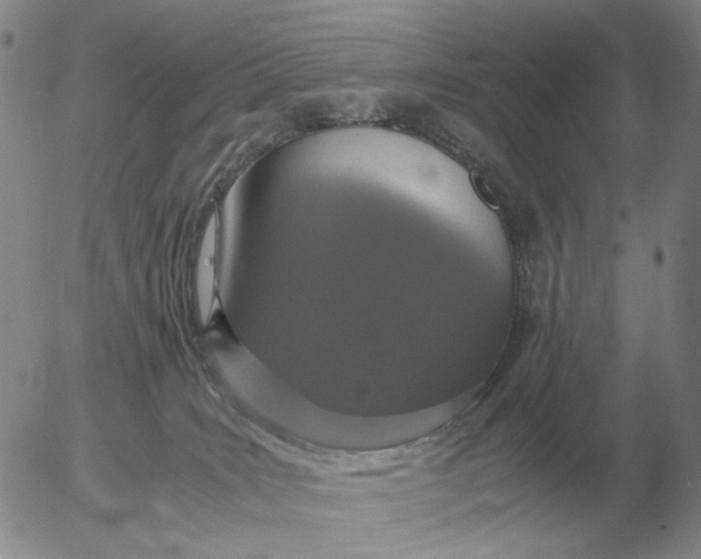 X0000054170035200508101811.png