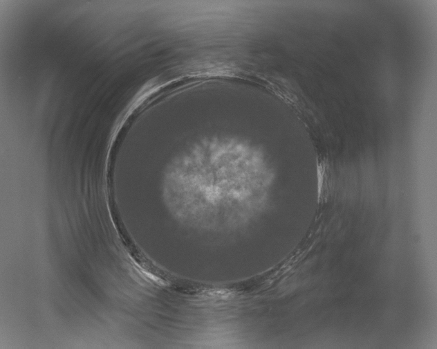 X0000055210195200508301330.png