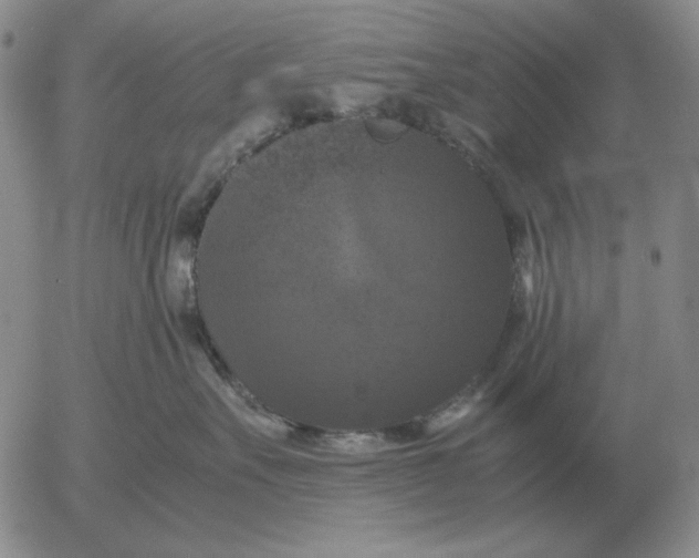X0000054170527200508101803.png