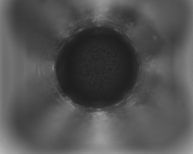 X0000054730281200508171900.png