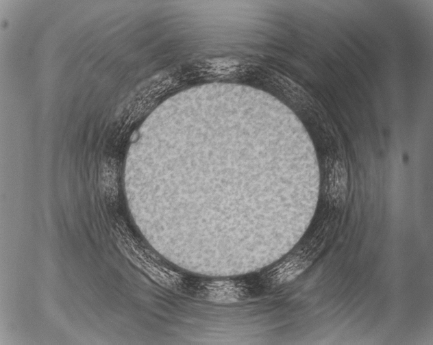 X0000054580562200508300103.png