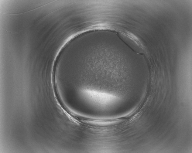 X0000054301334200508042300.png