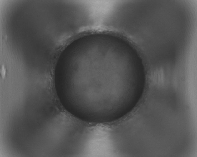 X0000054731446200508171839.png
