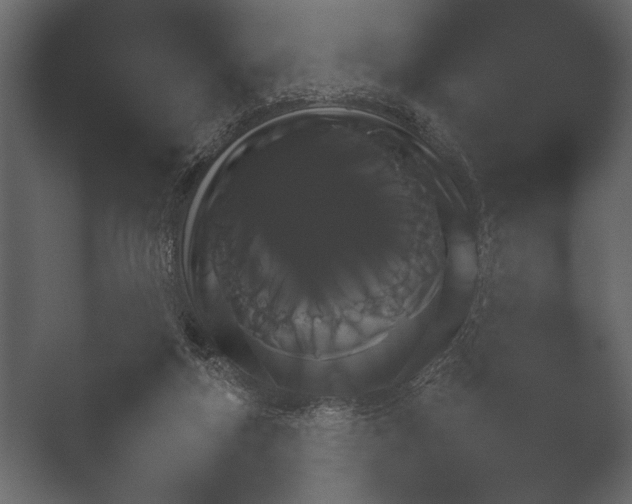 X0000052730163200507141555.png