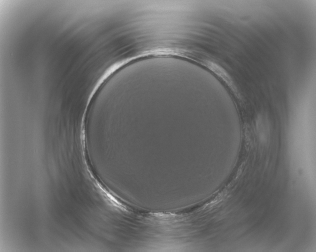 X0000054351428200508190116.png