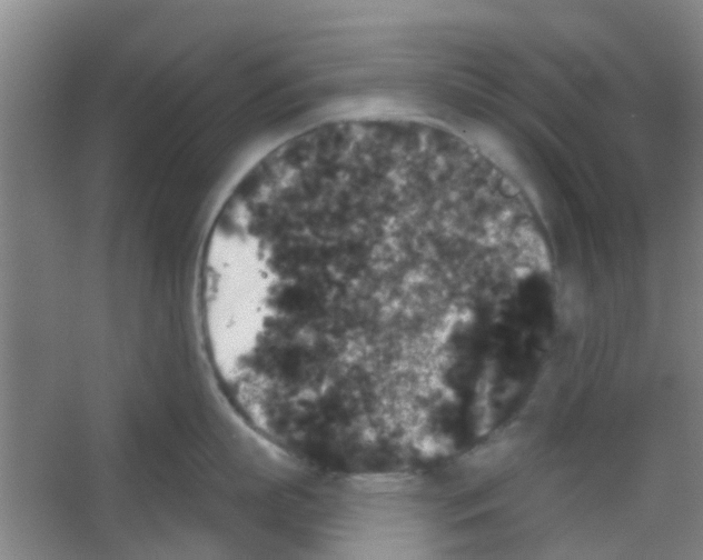 X0000053460863200508112155.png