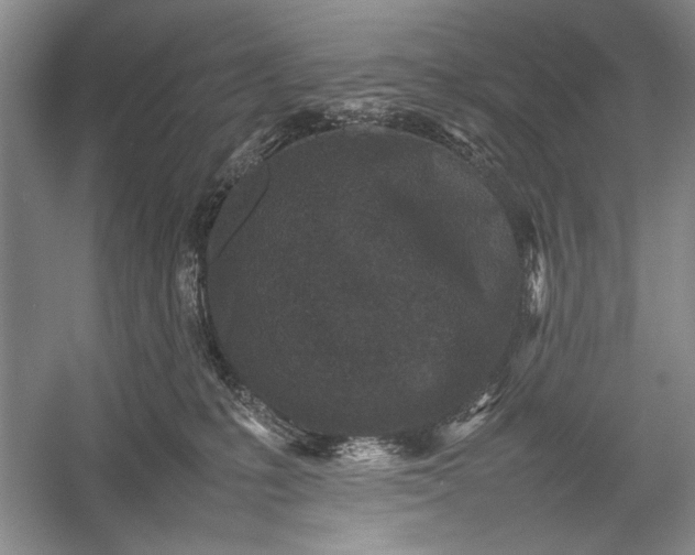 X0000055060231200508161654.png