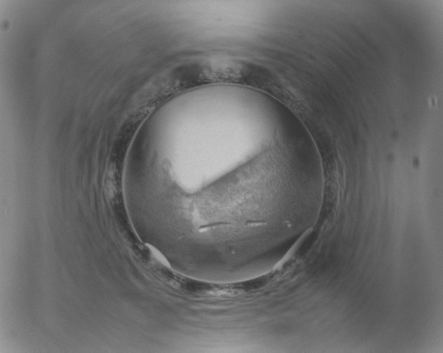 X0000054650323200508091648.png