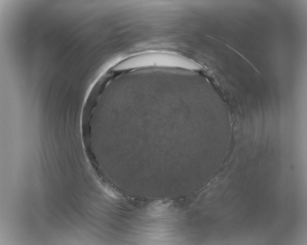 X0000054350148200508190137.png